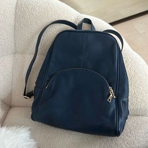 Back pack purse